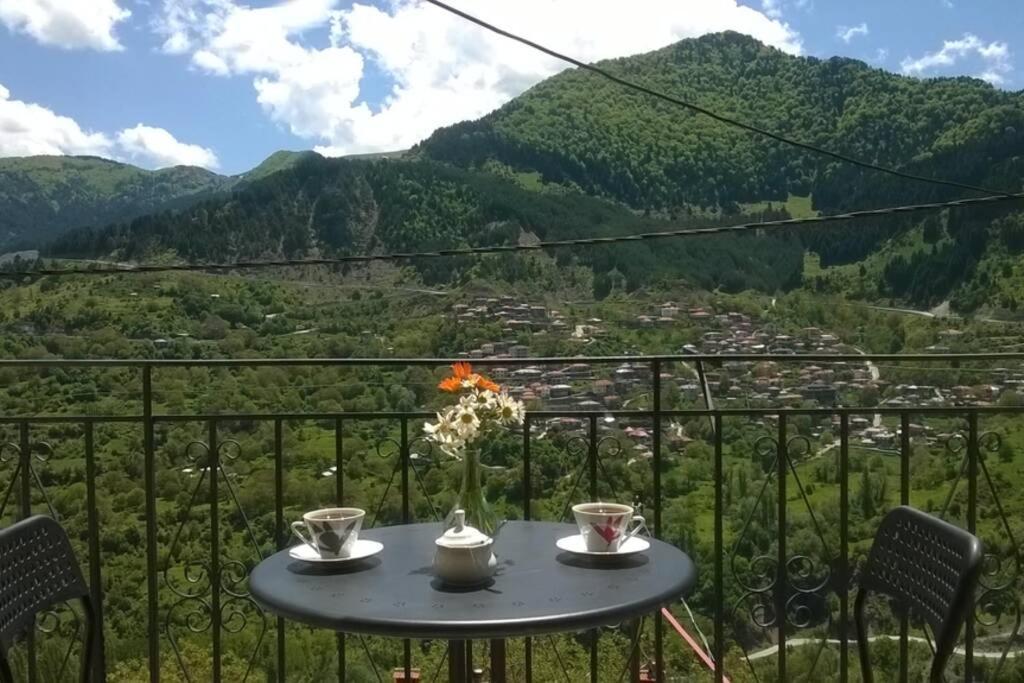Baou House Apartment Metsovo Exterior photo