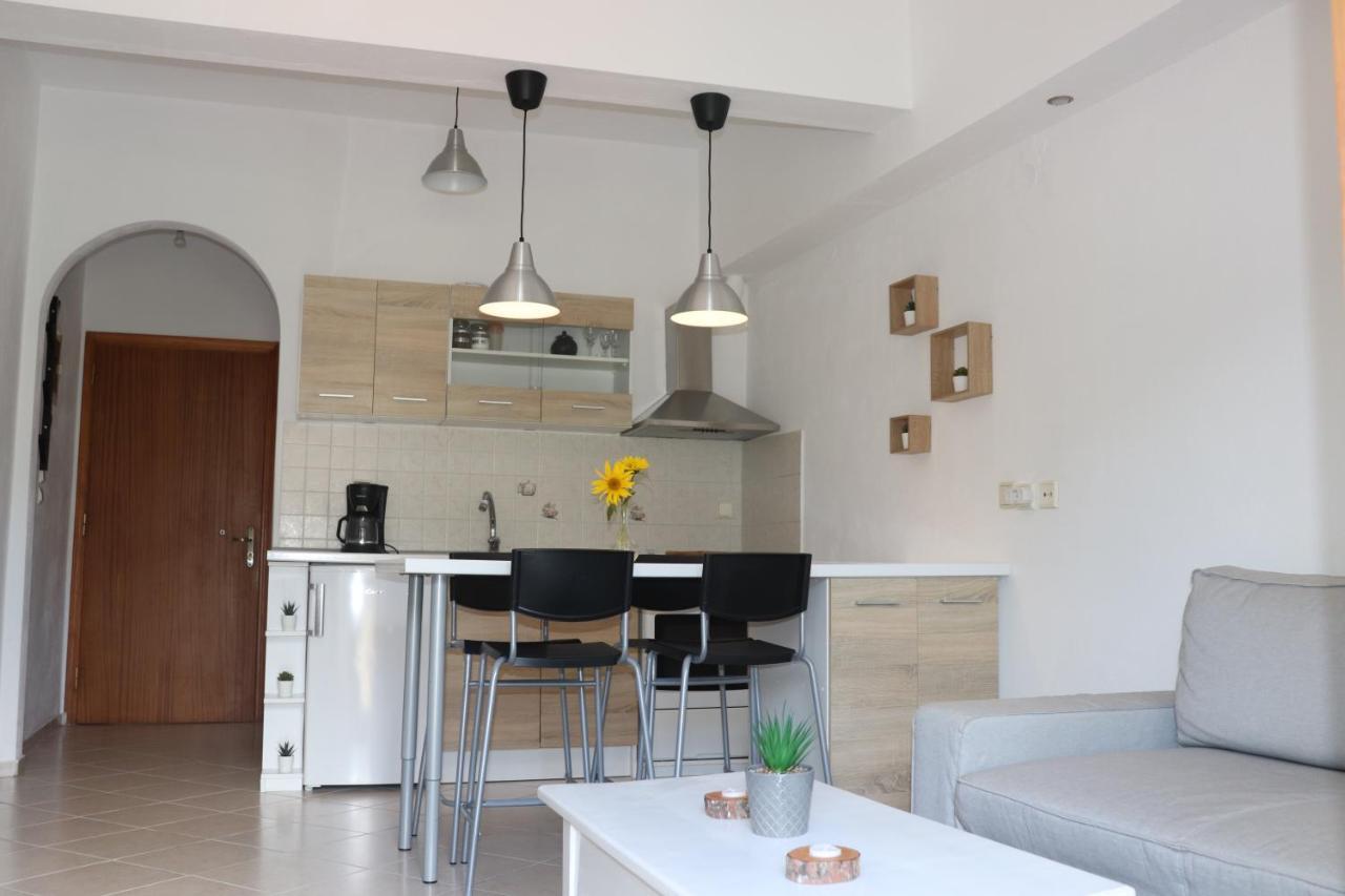 Baou House Apartment Metsovo Exterior photo
